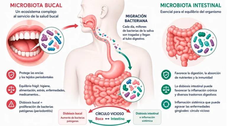 Microbiota oral